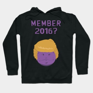 Member when Trump was a presidential candidate? Hoodie